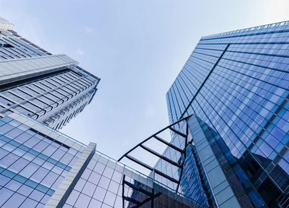 关于奇异果体育