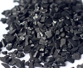 椰壳奇异果体育