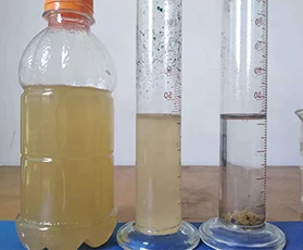 (中国)科技公司