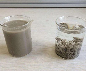 (中国)科技公司