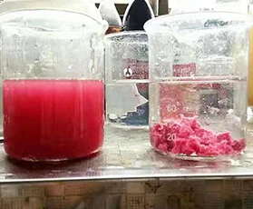 (中国)科技公司