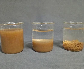 (中国)科技公司