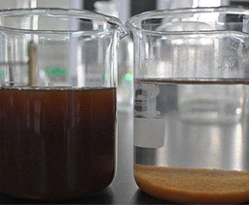 (中国)科技公司